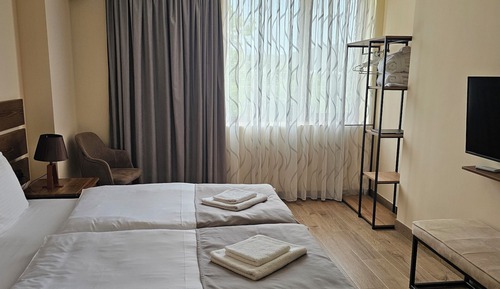 Deluxe Double or Twin Room