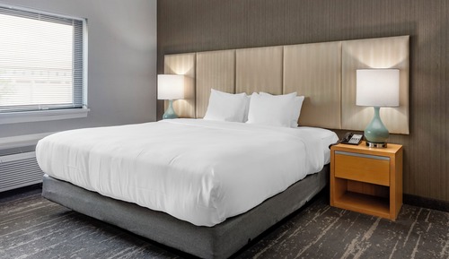 Standard Room, 1 King Bed, Non Smoking