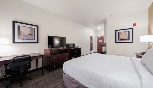Room, Accessible, Non Smoking (Single King Guestroom)
