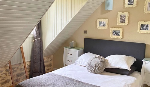 Basic Double Room