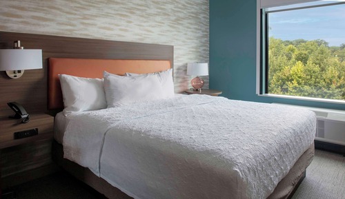 Suite, 1 King Bed, Accessible (Roll-In Shower)