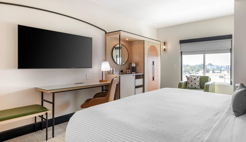 Room, 1 King Bed, Non Smoking