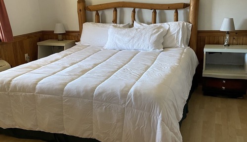 Premier Room, 1 King Bed, Mountain View