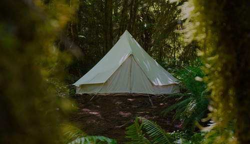 Tent, 1 King Bed, Shared Bathroom