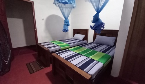Classic Double or Twin Room