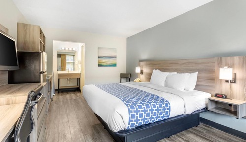 Room, 1 King Bed, Accessible, Non Smoking (Efficiency)