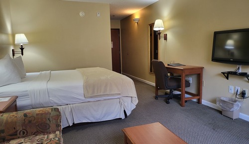 Business Single Room, 1 King Bed with Sofa bed