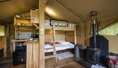 Family Tent, Multiple Beds (Safari Tent)