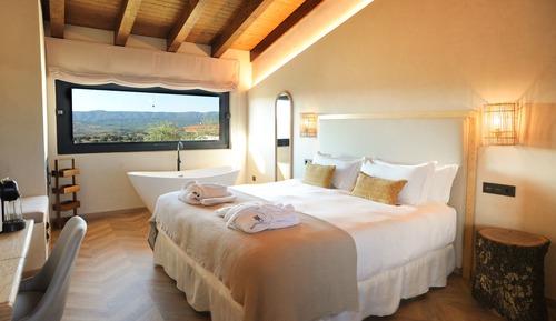 Luxury Room