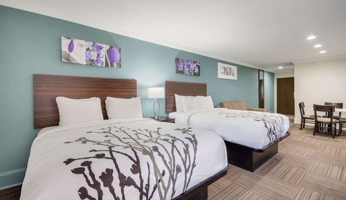 Suite, Multiple Beds