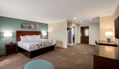 Suite, 1 King Bed with Sofa bed
