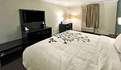 Suite, 1 King Bed with Sofa bed