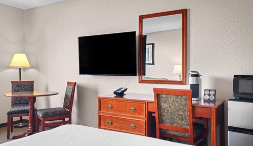 Accessible Room with 1 Queen Bed and Sofa