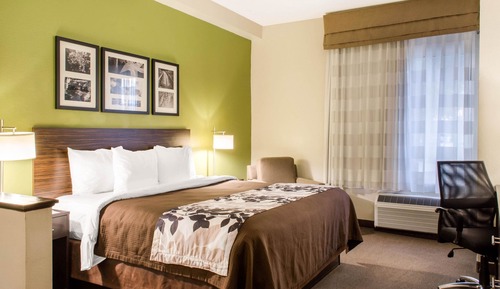 Room, 1 King Bed, Accessible, Non Smoking