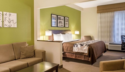 Suite, 1 King Bed with Sofa bed, Non Smoking