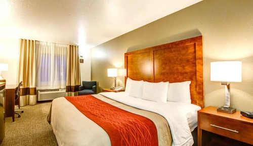 Standard Room, 1 King Bed, Non Smoking