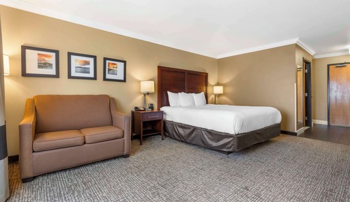 Standard Room, 1 King Bed, Non Smoking
