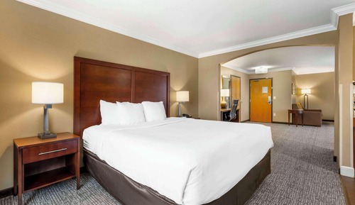 Suite, 1 King Bed with Sofa bed, Non Smoking