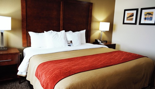 Room, 1 King Bed, Accessible, Non Smoking