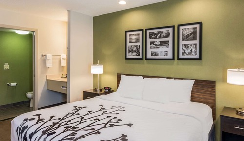 Standard Room, 1 King Bed, Non Smoking