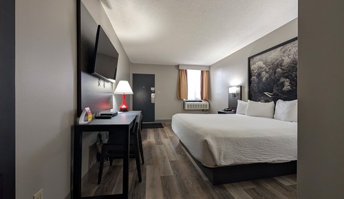 Room, 1 King Bed, Non Smoking (Pet Friendly)