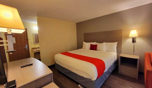 Room, 1 King Bed