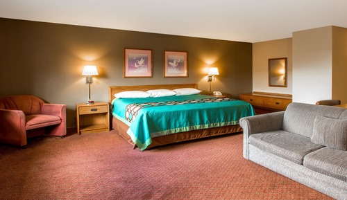 Room, 1 King Bed, Accessible, Non Smoking (Mobility Accessible)