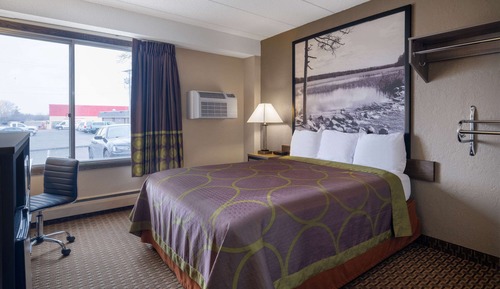 Room, 1 Queen Bed, Accessible, Non Smoking (Mobility,Roll-In Shower)
