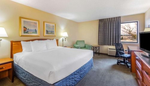 Deluxe Suite, 1 King Bed, Non Smoking, Mountain View (Deluxe Executive Suite)