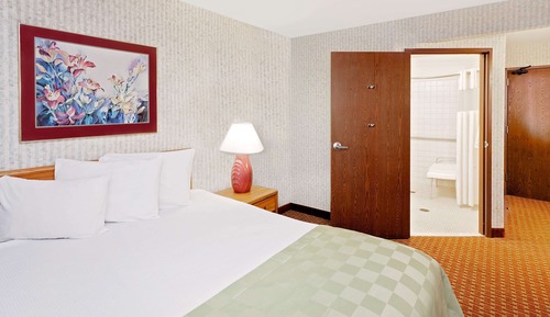 Standard Room, 1 Queen Bed, Accessible
