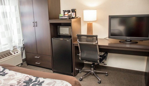 Room, 1 Queen Bed, Non Smoking