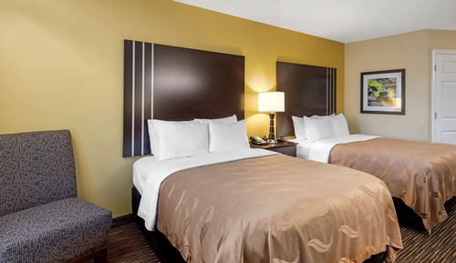 Two Double Beds NonSmoking,Pet Friendly Room
