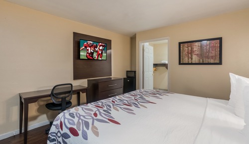 Deluxe Room, 1 Queen Bed, Accessible, Smoking (Roll-In Shower)