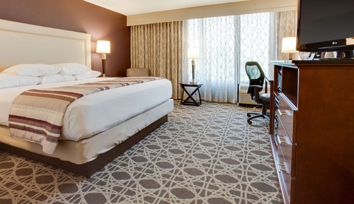 Deluxe Room, 1 King Bed with Sofa bed, Accessible, Refrigerator & Microwave (Tub)