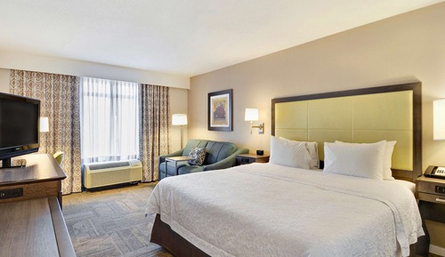Room, 1 King Bed, Accessible (Mobility & Hearing, Roll-In Shower)