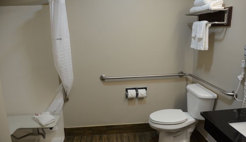 Room, 1 King Bed, Accessible, Non Smoking (Mobility Accessible)
