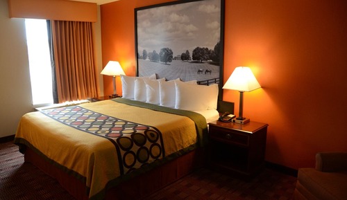 Standard Room, 1 King Bed, Non Smoking