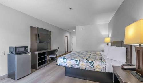 Standard Room, 1 King Bed, Non Smoking, Refrigerator & Microwave