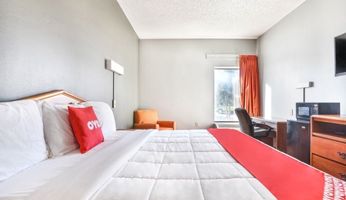 Room, 1 King Bed