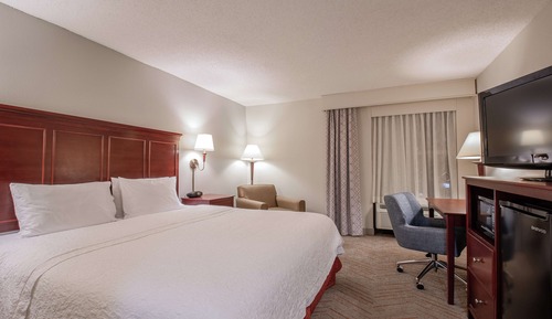Standard Room, 1 King Bed, Accessible,Walk-in Shower