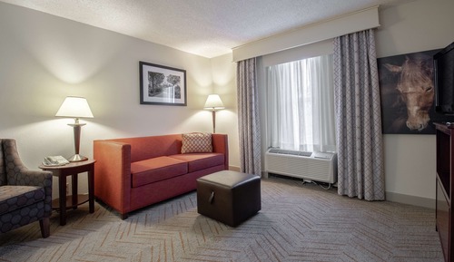 Signature Suite, 1 King Bed with Sofa bed, Accessible