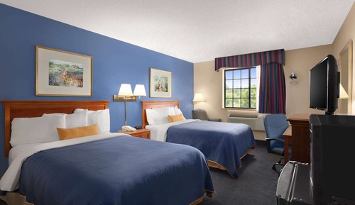 Double Room, 2 Double Beds