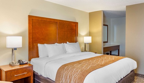 Suite, 1 King Bed with Sofa bed, Non Smoking (Upgrade)