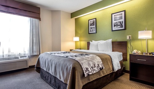 Standard Room, 1 Queen Bed, Accessible, Non Smoking