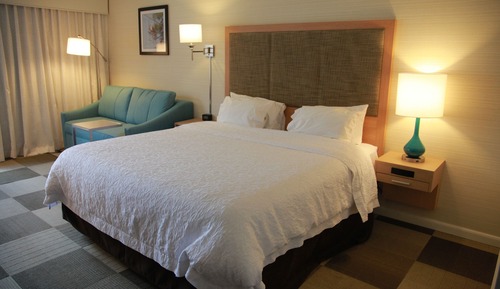 Room, 1 King Bed, Non Smoking, Refrigerator & Microwave (Large Room)