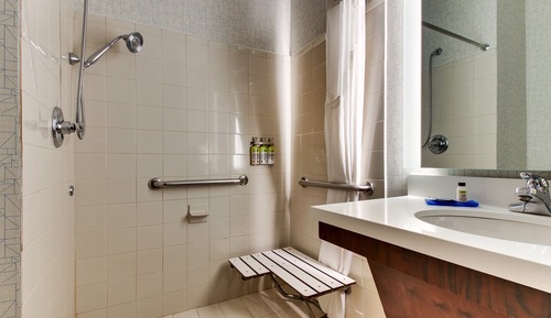 Suite, 1 King Bed with Sofa bed