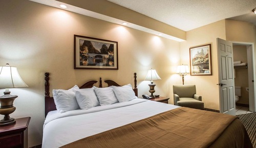 Standard Room, 1 King Bed, Non Smoking
