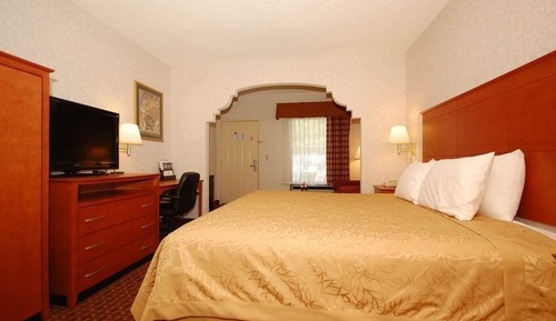 Room, 1 King Bed, Non Smoking