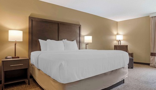 Room, 1 King Bed, Accessible, Non Smoking