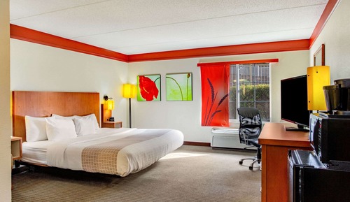 Deluxe Room, 1 King Bed, Non Smoking